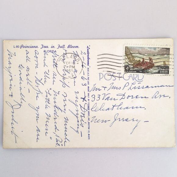 Vintage 1963 Postcard Poinciana Tree in Full Bloom Florida Lusterchrome Tichnor - Picture 2 of 2